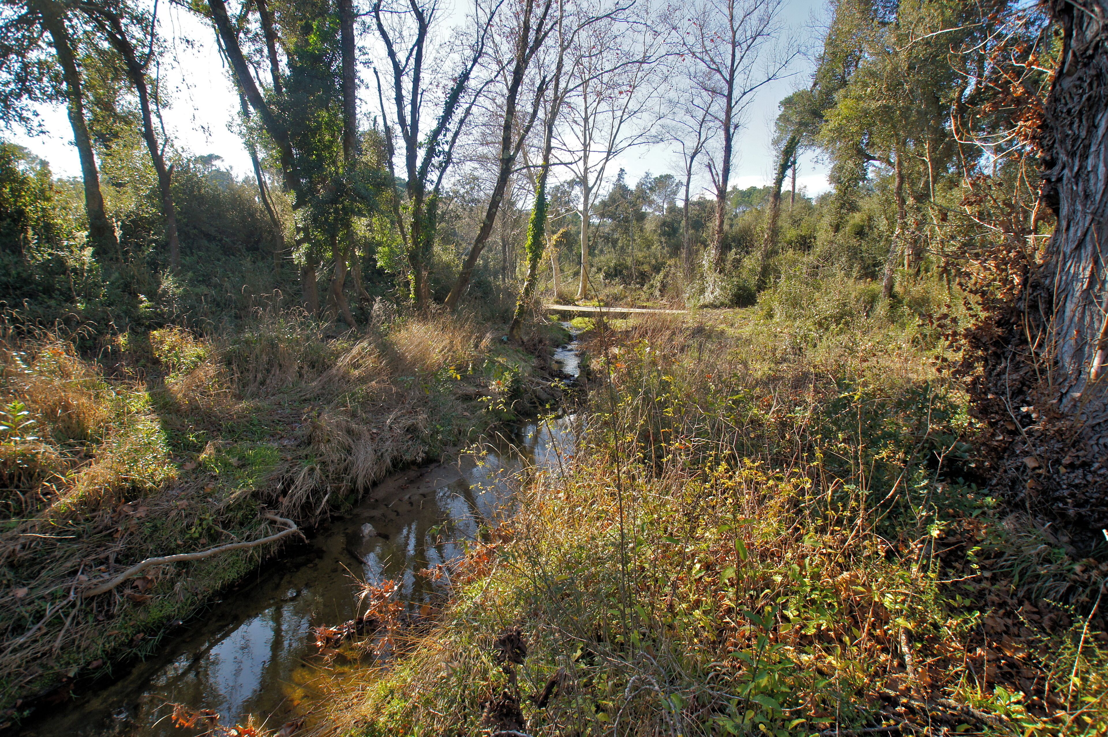 Calonge, Catalonia: The Riera de Mas Riera
