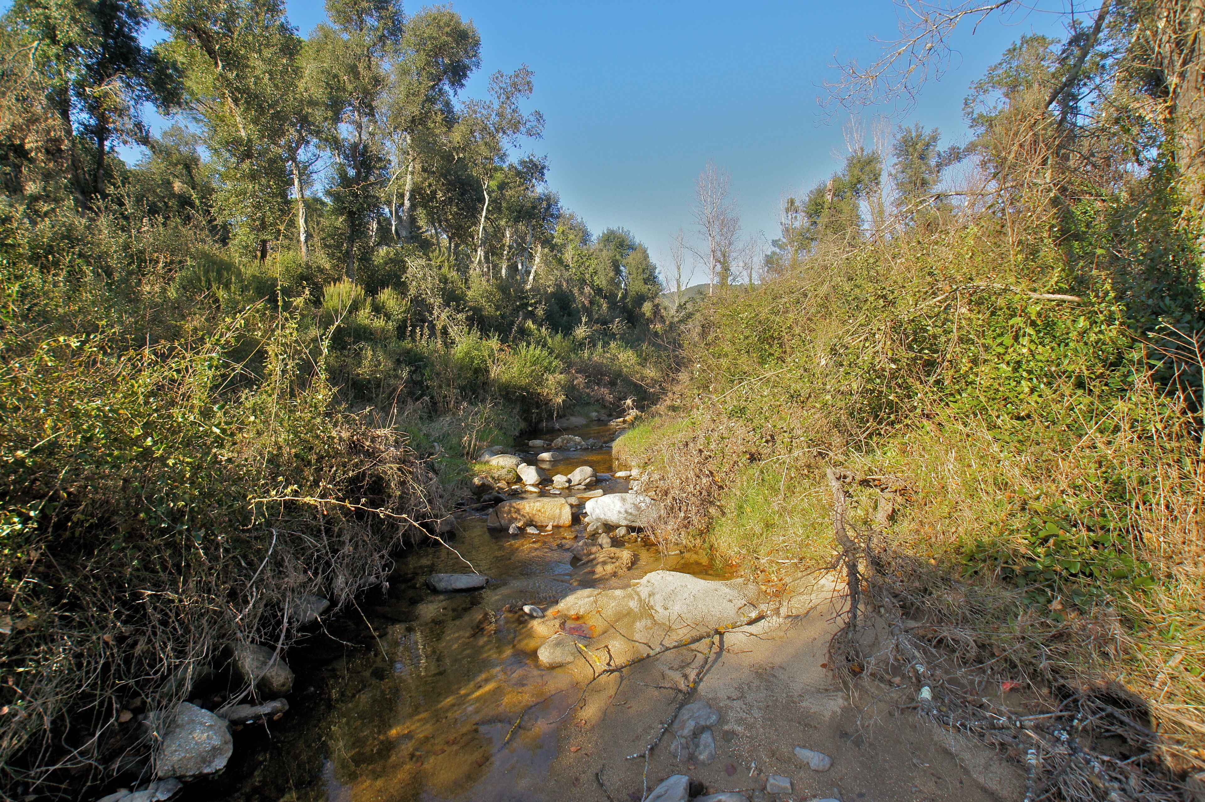 Calonge, Catalonia: The Riera de Mas Riera
