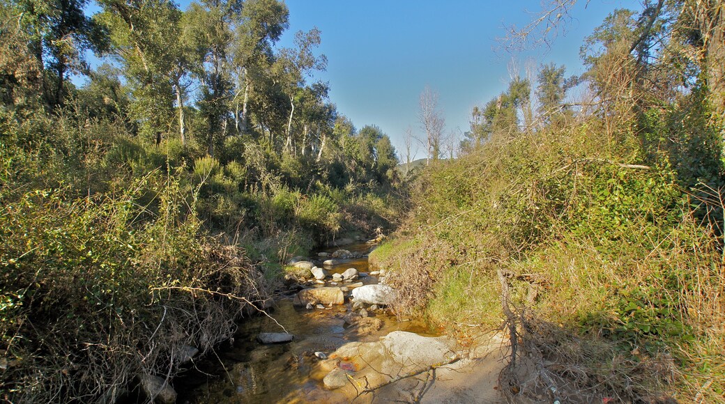 Calonge, Catalonia: The Riera de Mas Riera
