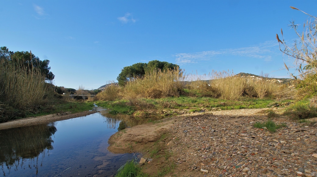 Calonge, Catalonia: Confluence of the Rifred and the Riera dels Molins into the Riera de Calonge