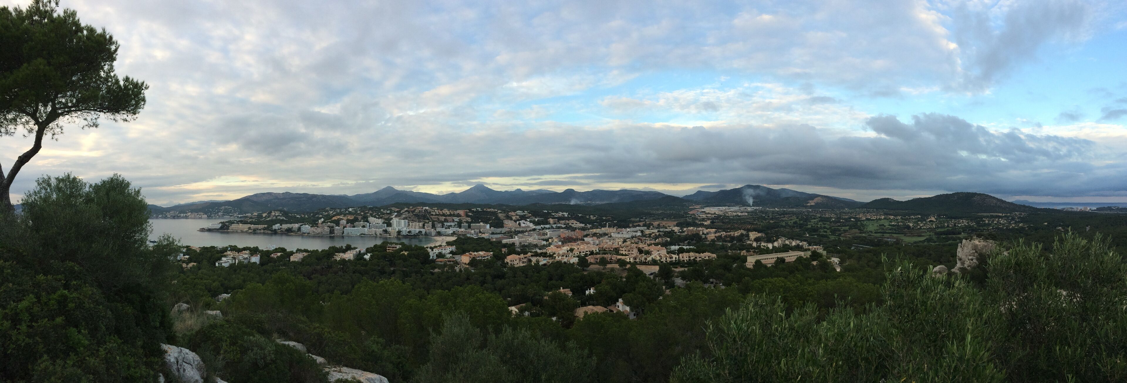 <h2>Top-rated places to stay near the beach in Calvia</h2>