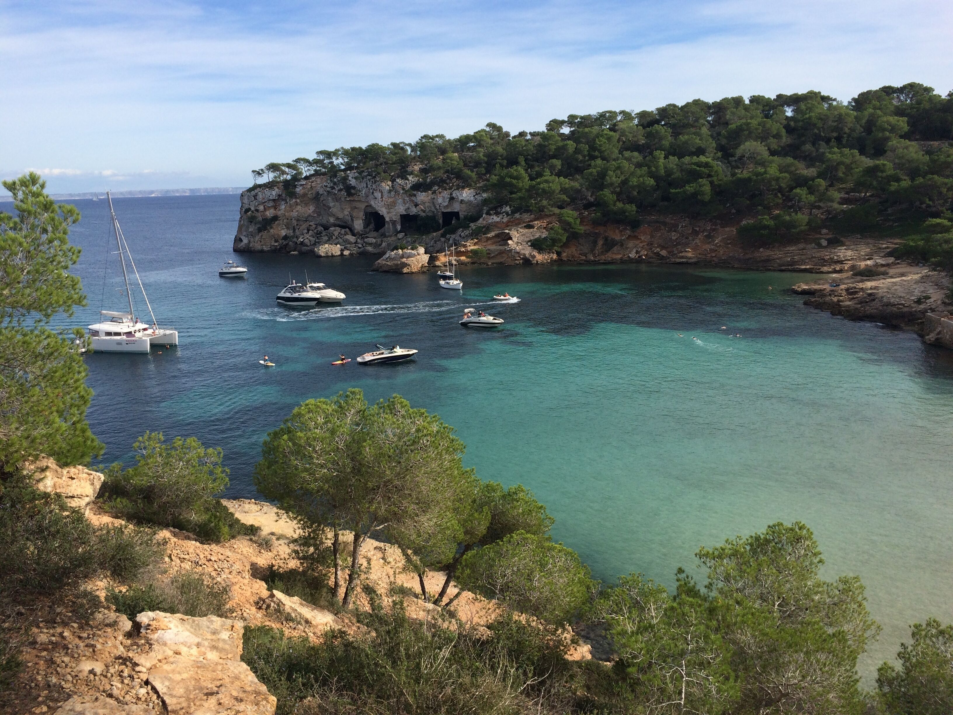 A coastal bay with clear turquoise waters, rocky cliffs, and a dense forest.