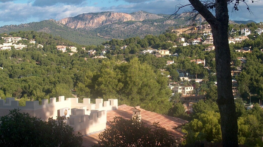 07183 Rotes Velles, Illes Balears, Spain