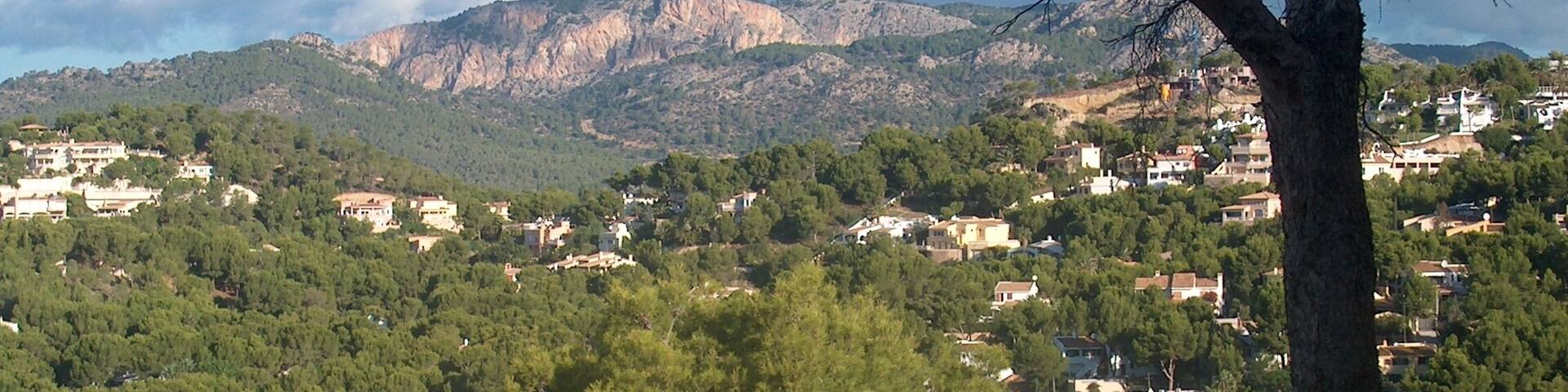07183 Rotes Velles, Illes Balears, Spain