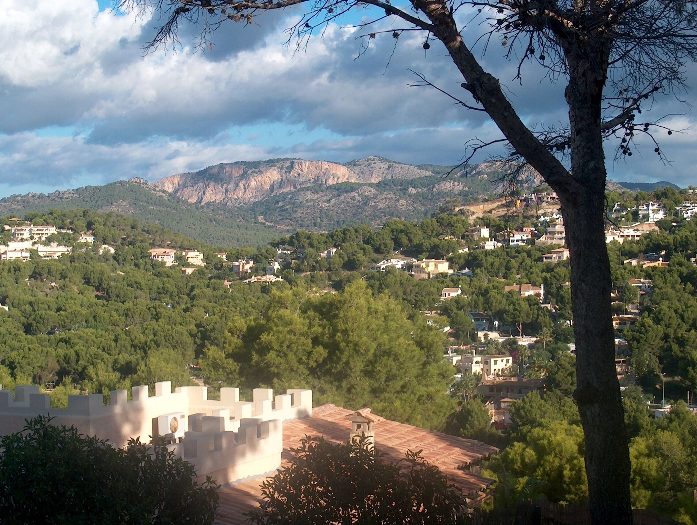A mountainous landscape with scattered houses, a castle-like structure, and a tree in the foreground.