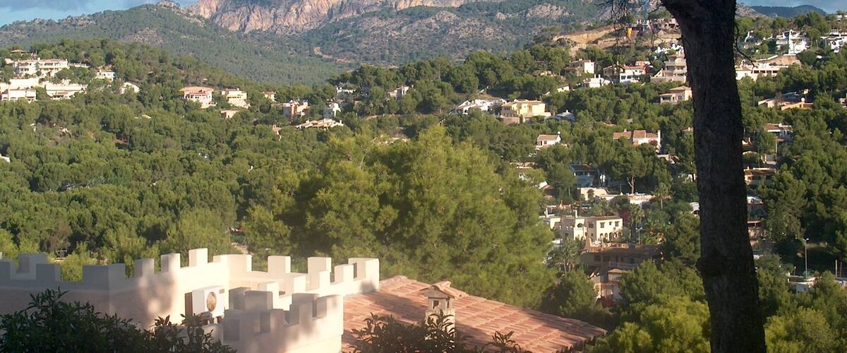 A mountainous landscape with scattered houses, a castle-like structure, and a tree in the foreground.