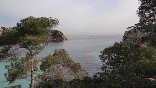 Portals Vells, Illes Balears, Spain