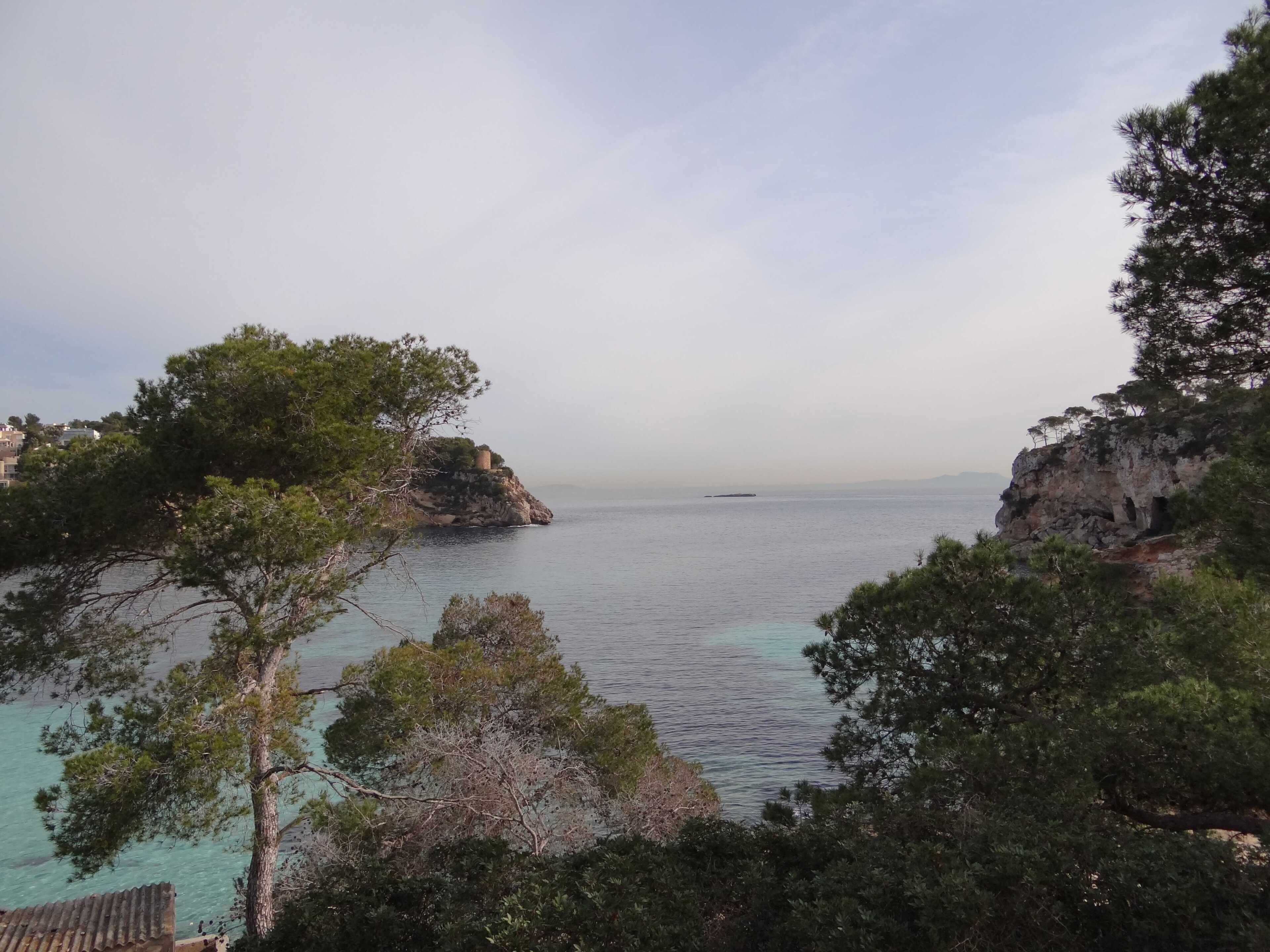 A coastal landscape with rocky cliffs, clear turquoise waters, and dense green trees.