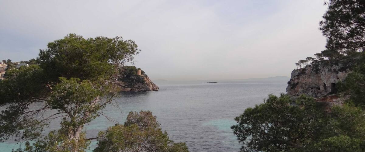 A coastal landscape with rocky cliffs, clear turquoise waters, and dense green trees.