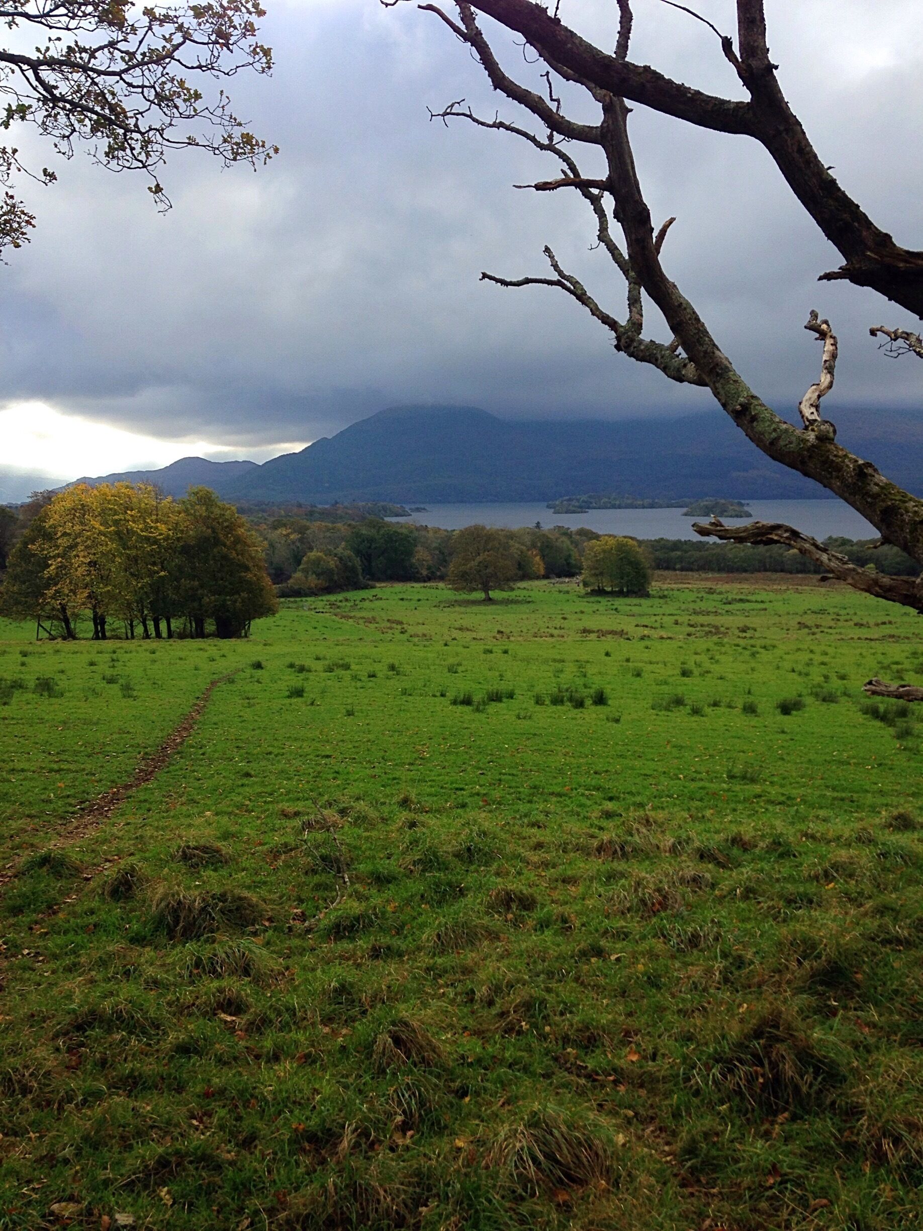 This place was hard to leave. Stayed an extra day to explore the forest.
