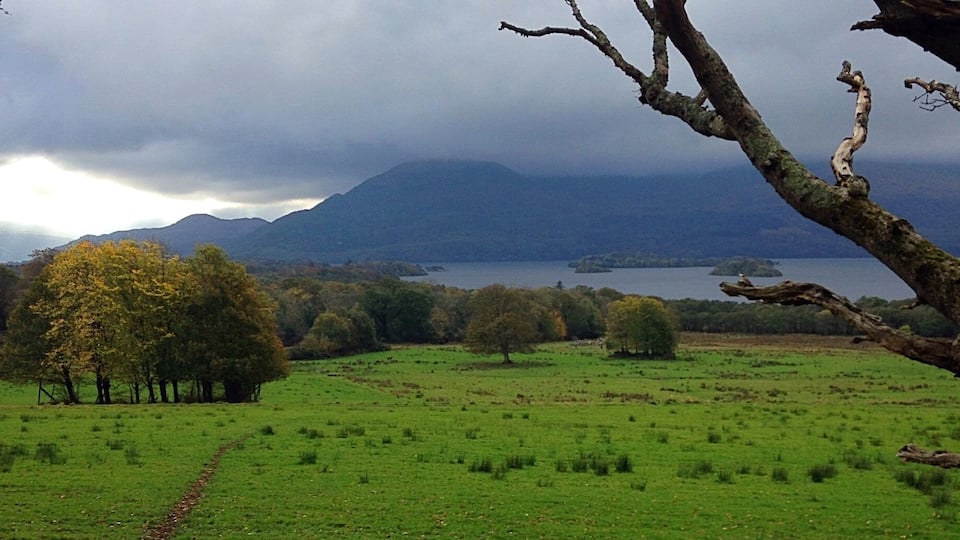 This place was hard to leave. Stayed an extra day to explore the forest.