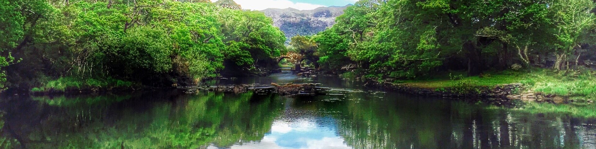 Mucross Lake was quiet, tranquil, desolate... aaand upside down!
#nationalpark #waterlust #Green