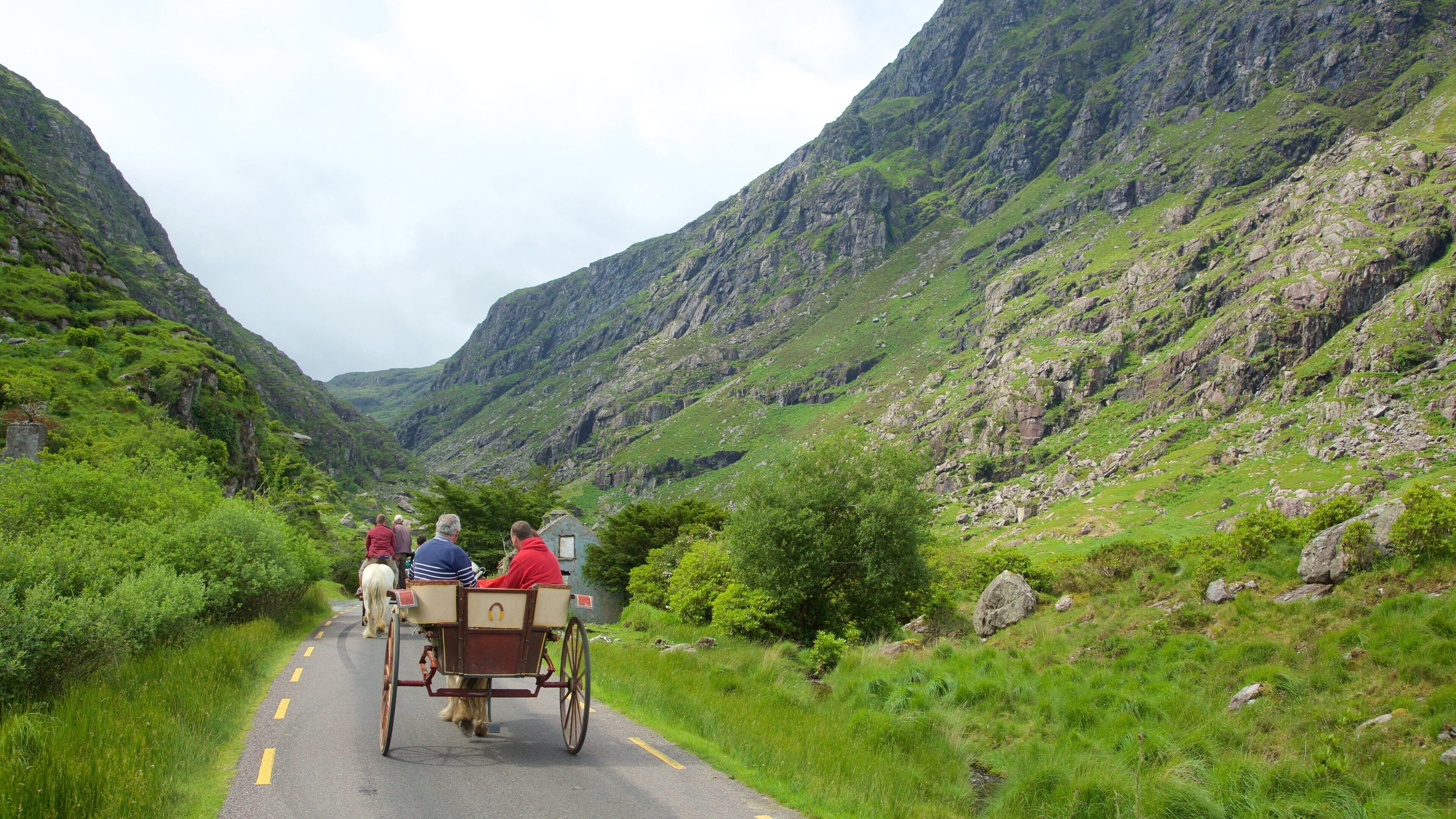 Killarney featuring ratsastus, rauhalliset maisemat ja vuoret