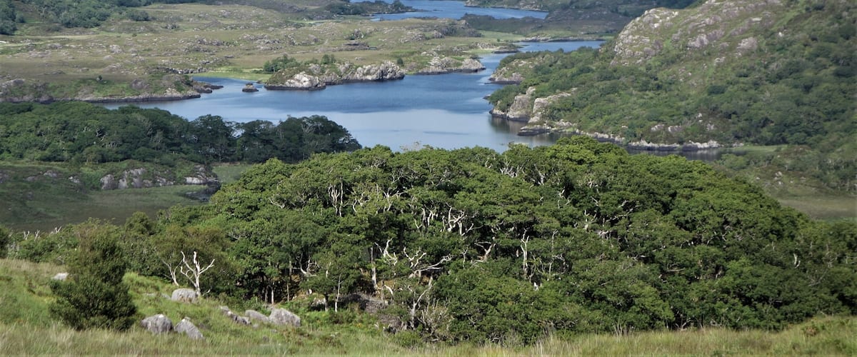 Killarney National Park.
To the south and west of Killarney is a vast mountainous area, the McGillycuddy's Series, the highest mountain range in Ireland, with peaks up to 1000 meters high. The National Park covers the area around the lakes to the southwest of Killarney. #Nature