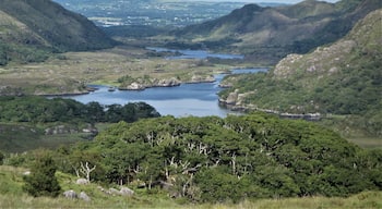 Killarney National Park.
To the south and west of Killarney is a vast mountainous area, the McGillycuddy's Series, the highest mountain range in Ireland, with peaks up to 1000 meters high. The National Park covers the area around the lakes to the southwest of Killarney. #Nature