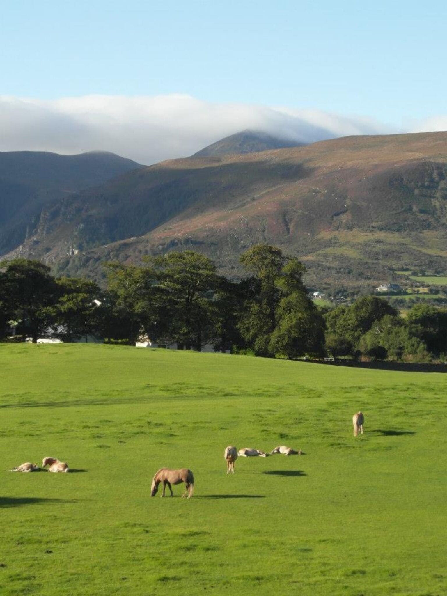 Hard to write with views like this.