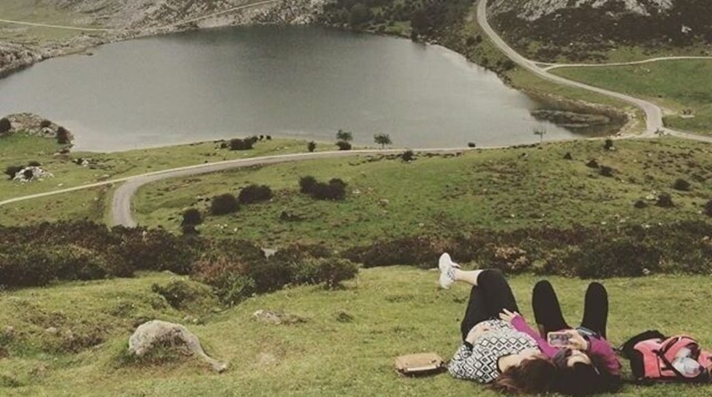 If you're looking for absolut silence, this is not your spot. Here there's the constant and harmonious music from the cow's bell clappers. Absolutely wonderful!