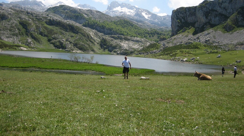 Geweldig rustig gebied.