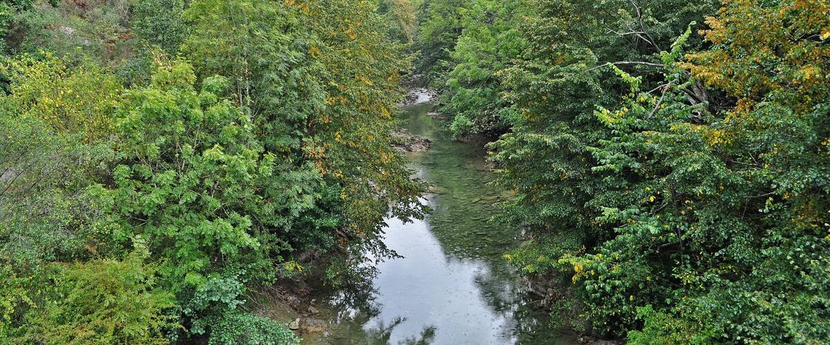 A river flowing through a dense forest with hills in the background.