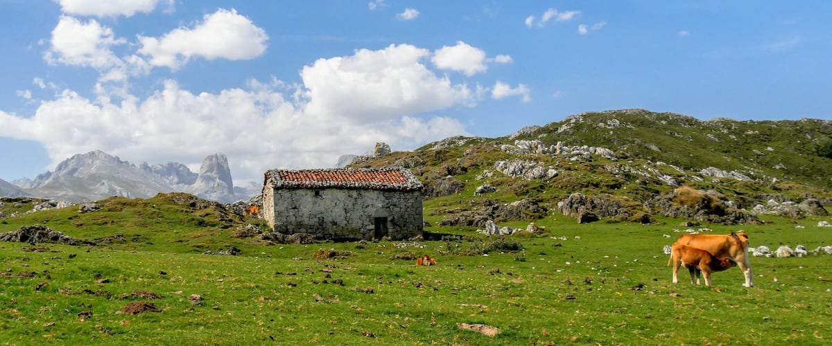 A stone house with a tiled roof in a grassy field with cows, surrounded by mountains and rocky terrain.