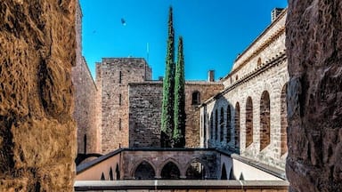 An ancient stone bridge with arches, a courtyard with stone walls, and a tall tree in the background.