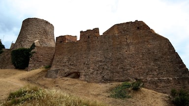 The Castle of Cardona is arguably the most important medieval fortress in Catalonia and one of the most important in Spain. It is situated on a hill overlooking the river valley of the Cardener and the town of Cardona.
The fortress was initially constructed by Wilfred the Hairy in 886. It is in both the Romanesque and Gothic styles, and includes the so-called Sala Dorada and Sala dels Entresols.