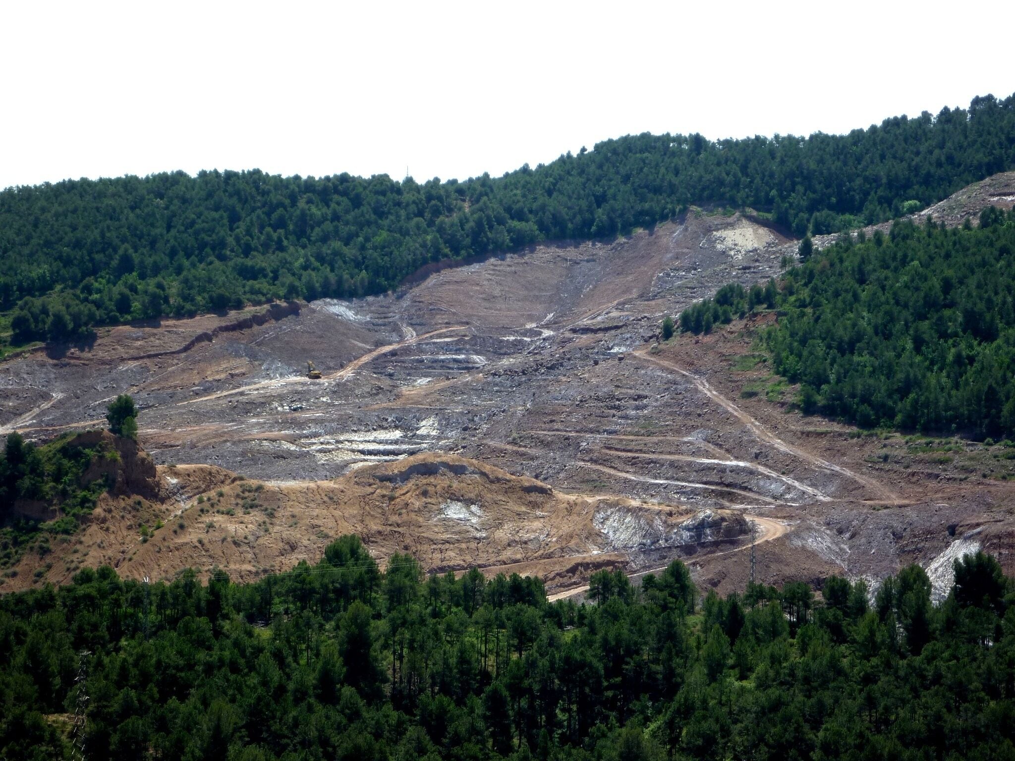 A deforested area with exposed earth and sparse vegetation.