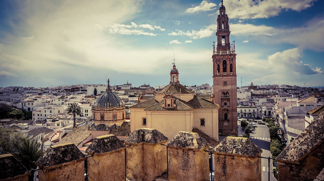 Carmona is a hidden gem in the Seville Province. It is much more than it seems at first look, The ruins of its old Alcazaba feature one of the best views of this beautiful town #Golden