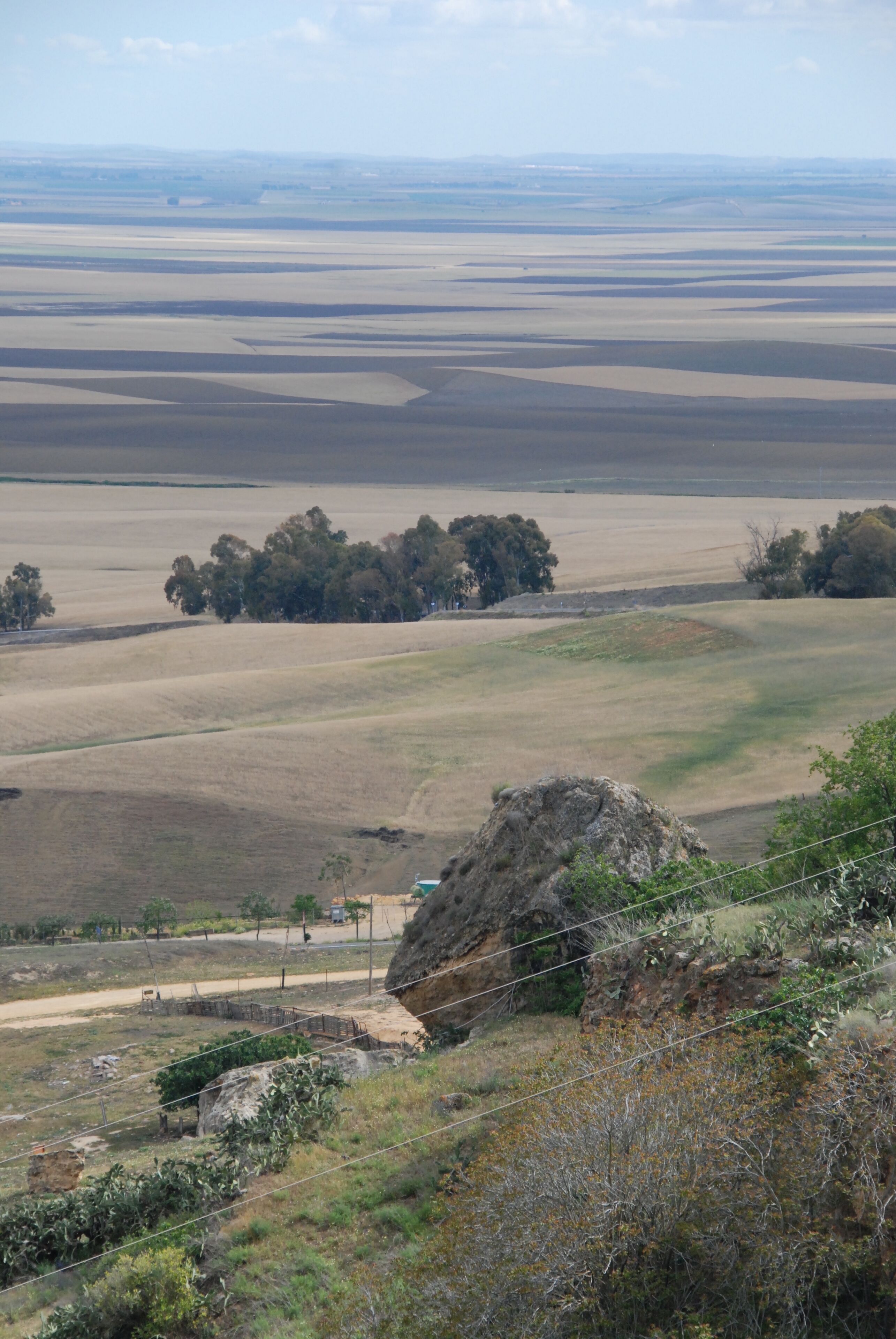 Un paisaje extenso con colinas onduladas, un grupo de árboles y una destacada formación rocosa.