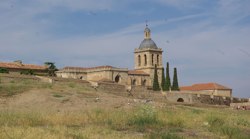 ® S.D. CIUDAD RODRIGO MURALLA_VISTA