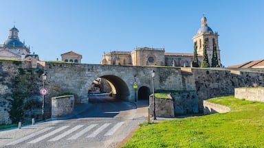 Ciudad Rodrigo, Salamanca, Castile and Leon, Spain