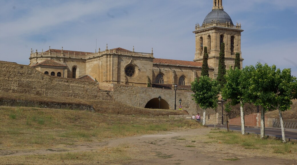 ® S.D. CIUDAD RODRIGO MURALLA_VISTA