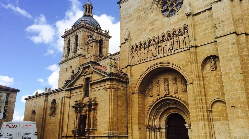 Just passing by Cuidad de Rodrigo - Spain