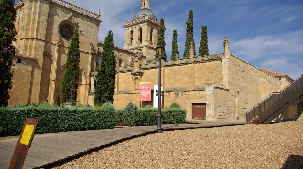 ® S.D. CIUDAD RODRIGO MURALLA_VISTA