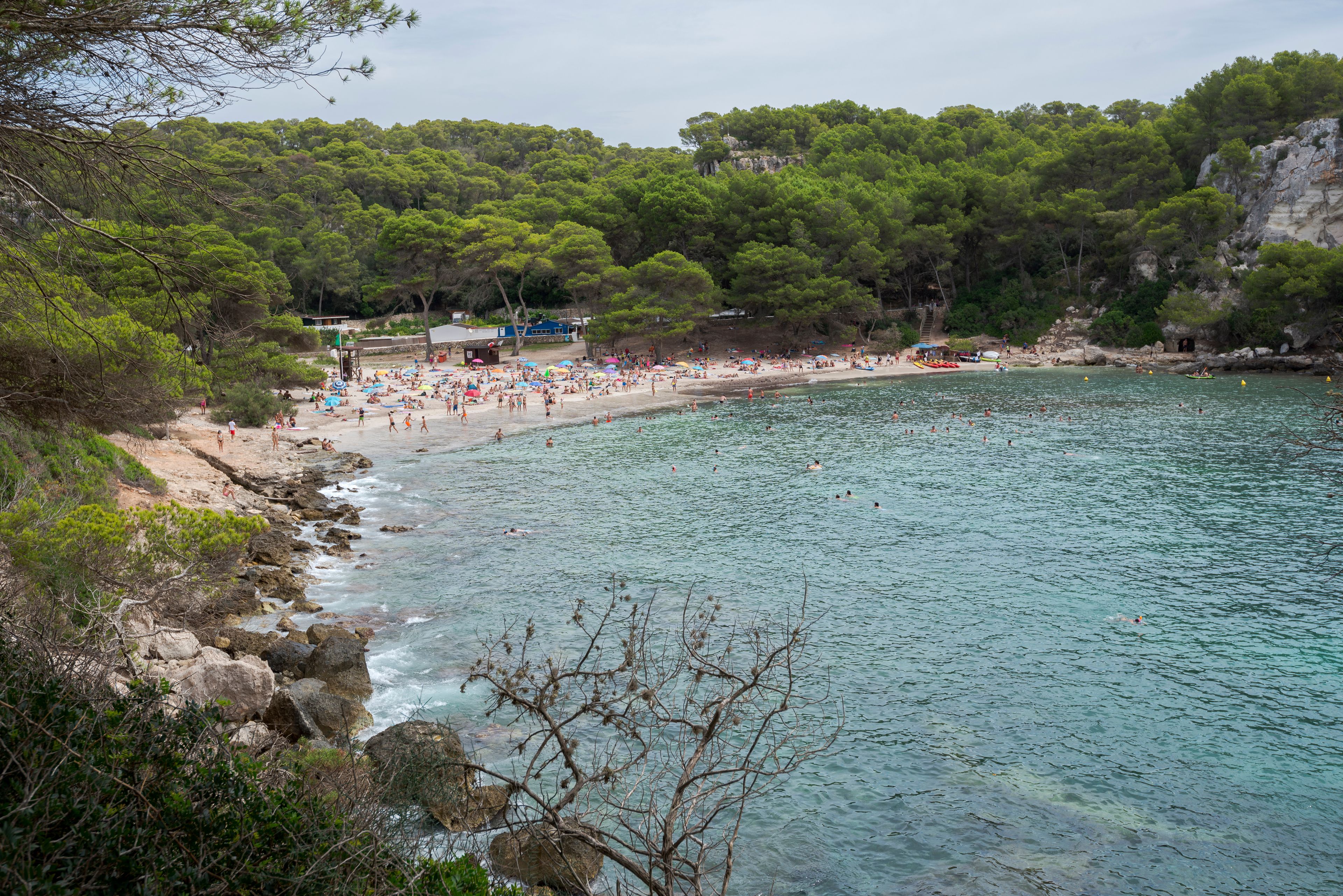 Una playa costera con aguas turquesas cristalinas, una orilla arenosa y densos árboles verdes al fondo.