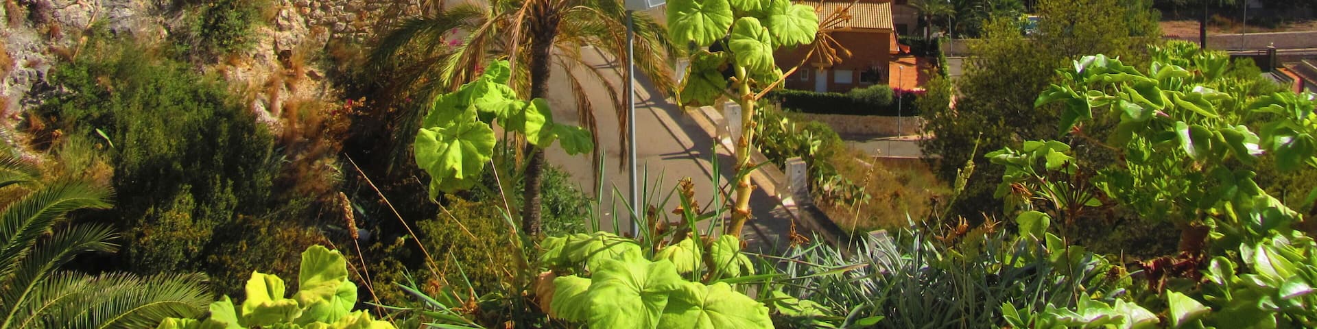 A secluded and extremely scenic beach town, Cullera is full of locals eating tapas, sunbathing, and drinking sangria. The water is calm and warm like a swimming pool and the town is charming and fun to visit!