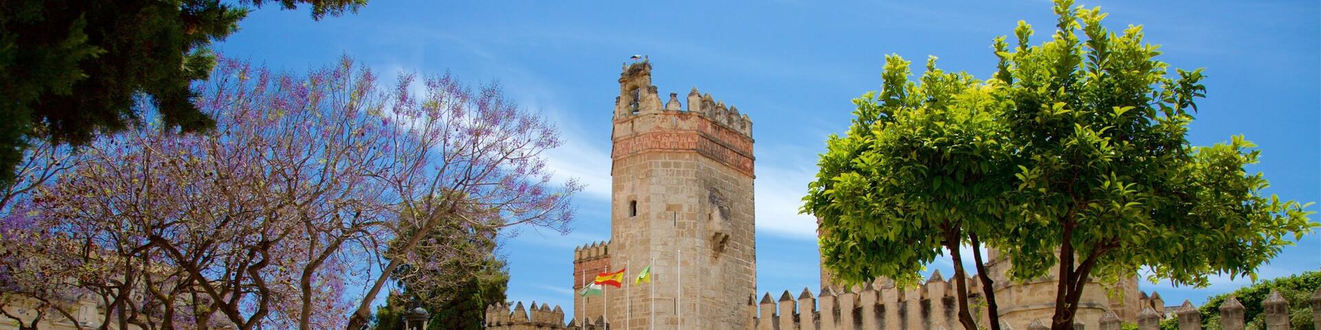 A historic stone fortress with a tall tower, surrounded by trees and a paved courtyard.