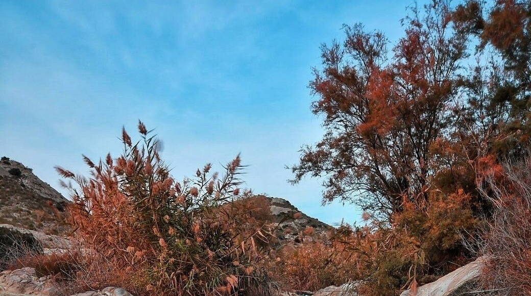 This small stream near Elche Dam in Spain (with some added slow shutter speed) gave me a lovely picturesque photo. A great area with many photo opportunities especially water features. #elche #spain #travel #photography #water #roadtrip #perspectives