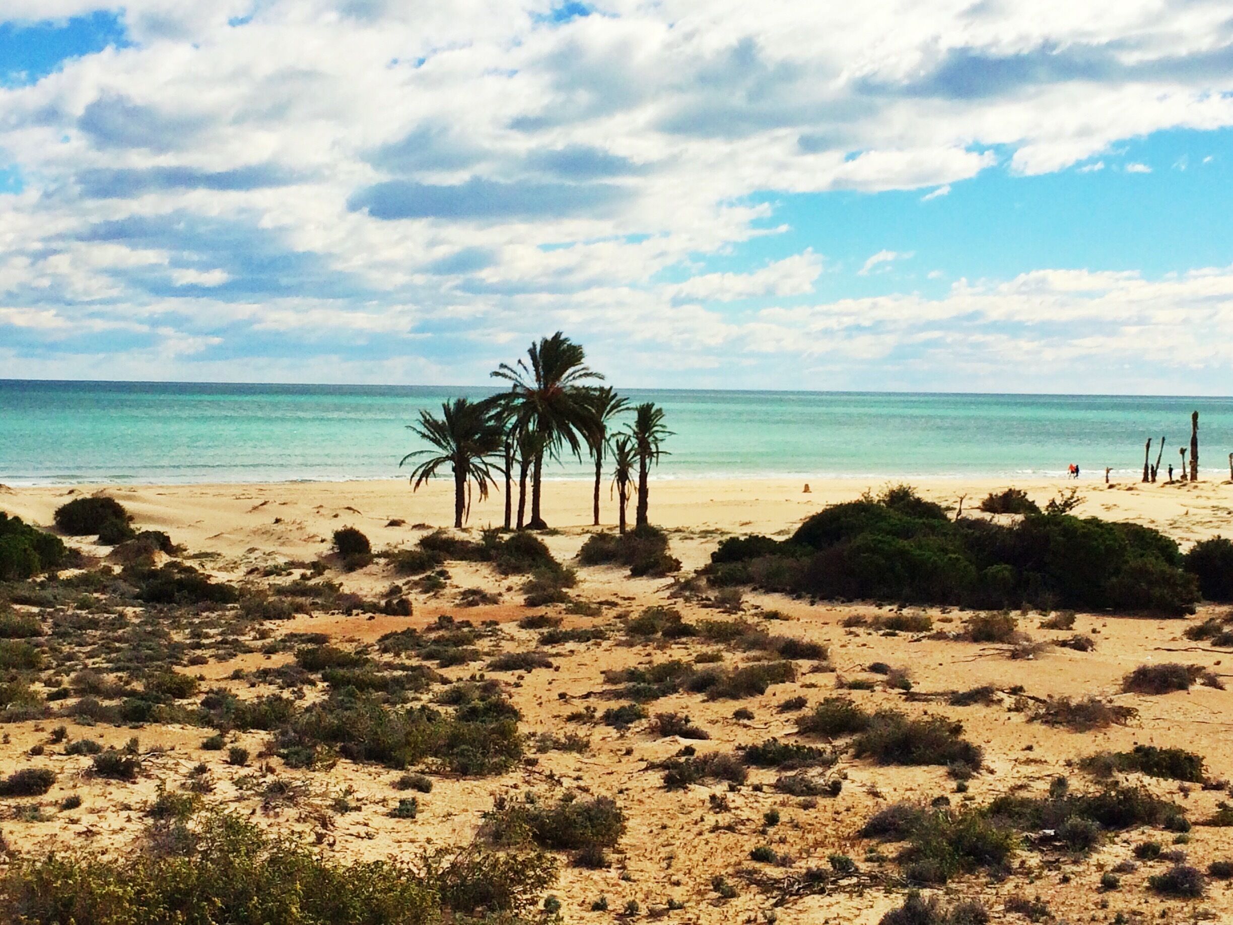 A kind of exotic beach in the middle of the Mediterranean Sea