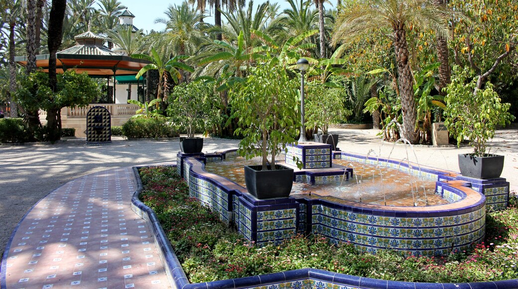 Elche palmeraie alicante