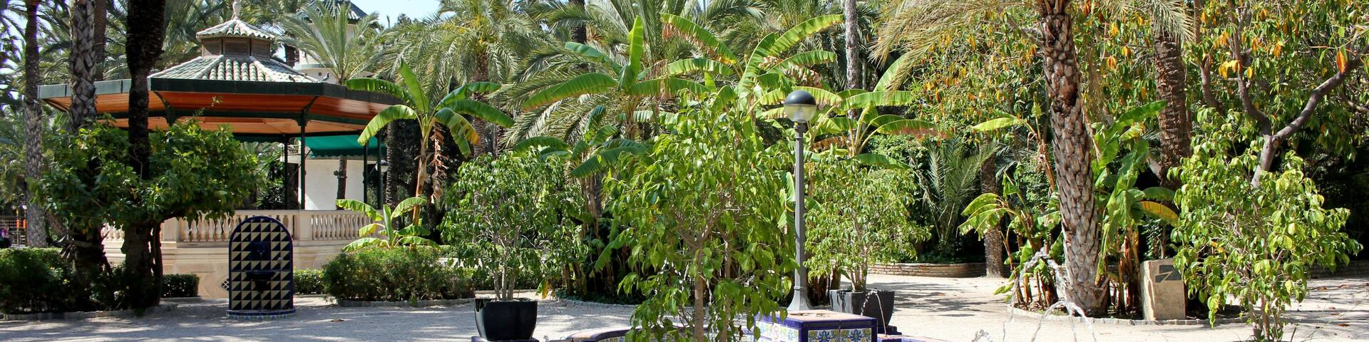 Elche palmeraie alicante