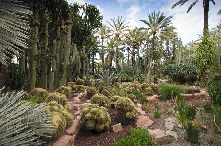 0_29923_392761482236_1712906_n