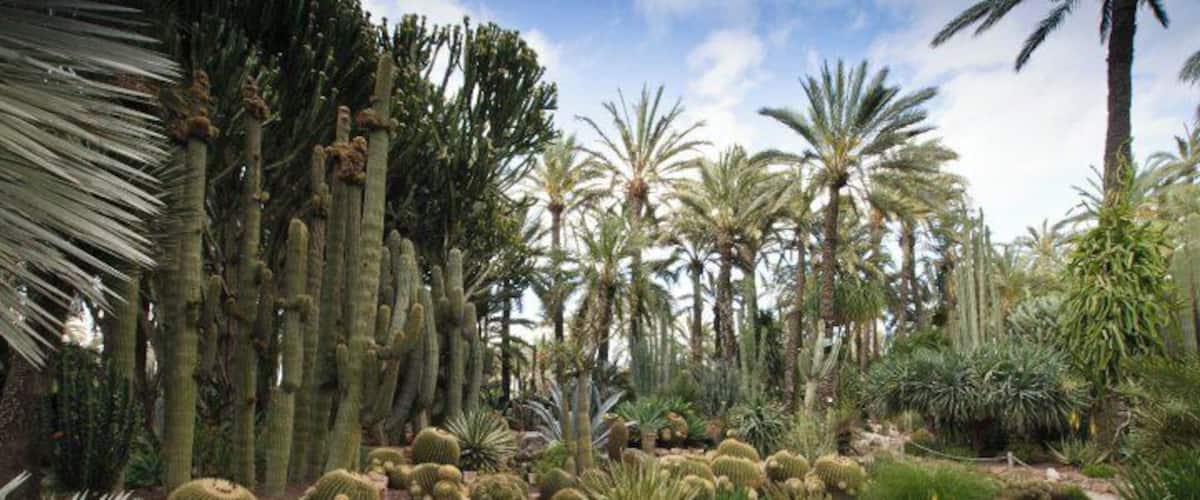 0_29923_392761482236_1712906_n