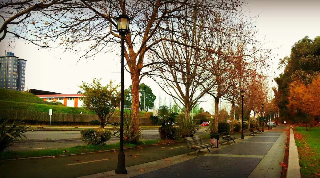 Paseo MarĂtimo de Caranza