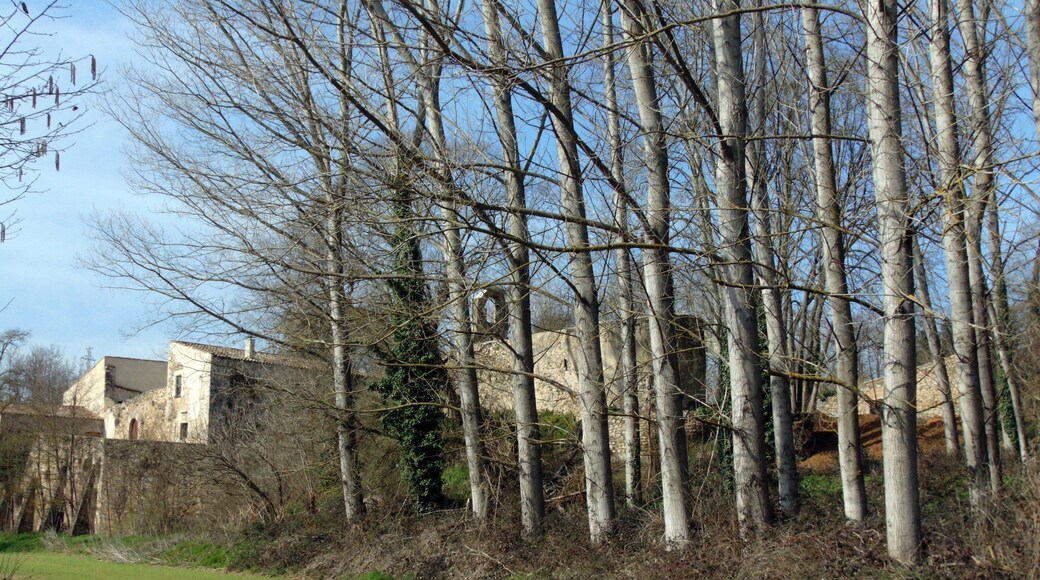 Santa Maria del Castell (Fornells de la Selva)