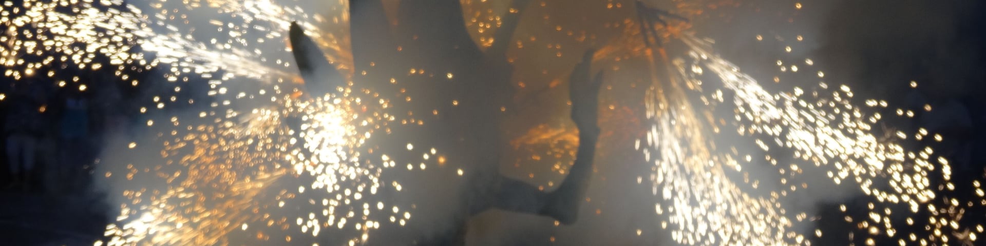 Trobada de víbries en la Festa Major d'Igualada 2013.