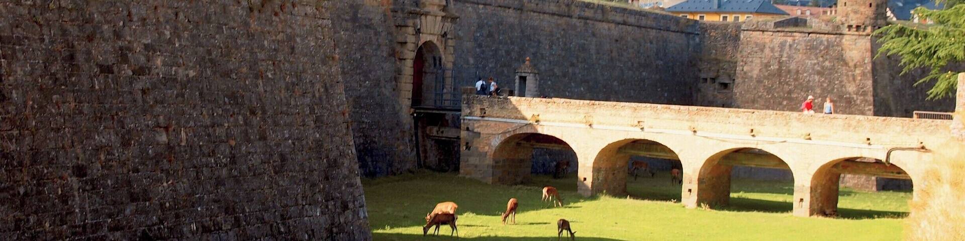 La Ciudadela de Jaca is the ancient castle of the Kings of Aragon, and though it is striking just in of itself, the deers that graze freely in the grassy moat are an amazing attraction!
#caminodesantiago
DAY 1 - JACA http://www.endoftherainbow.net/blogita/giorno3km0jaca