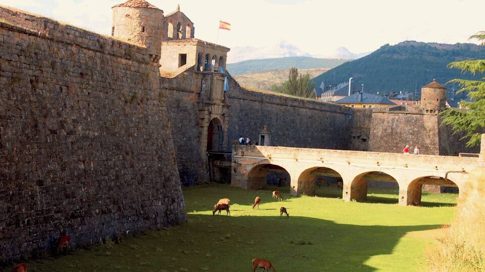 A historic stone fortress with a grassy courtyard, arched bridges, and a flag.