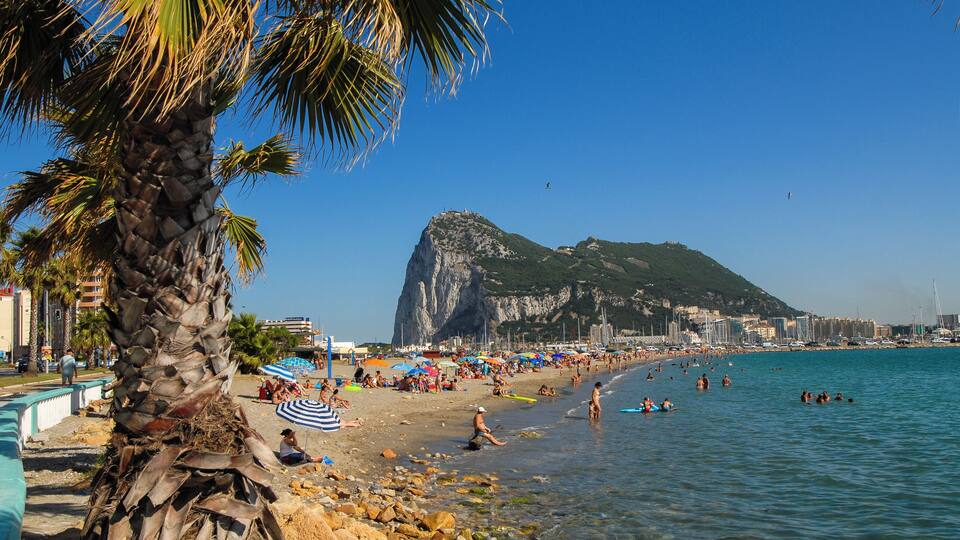 A beach with palm trees, clear blue water, and a large rock formation in the background.