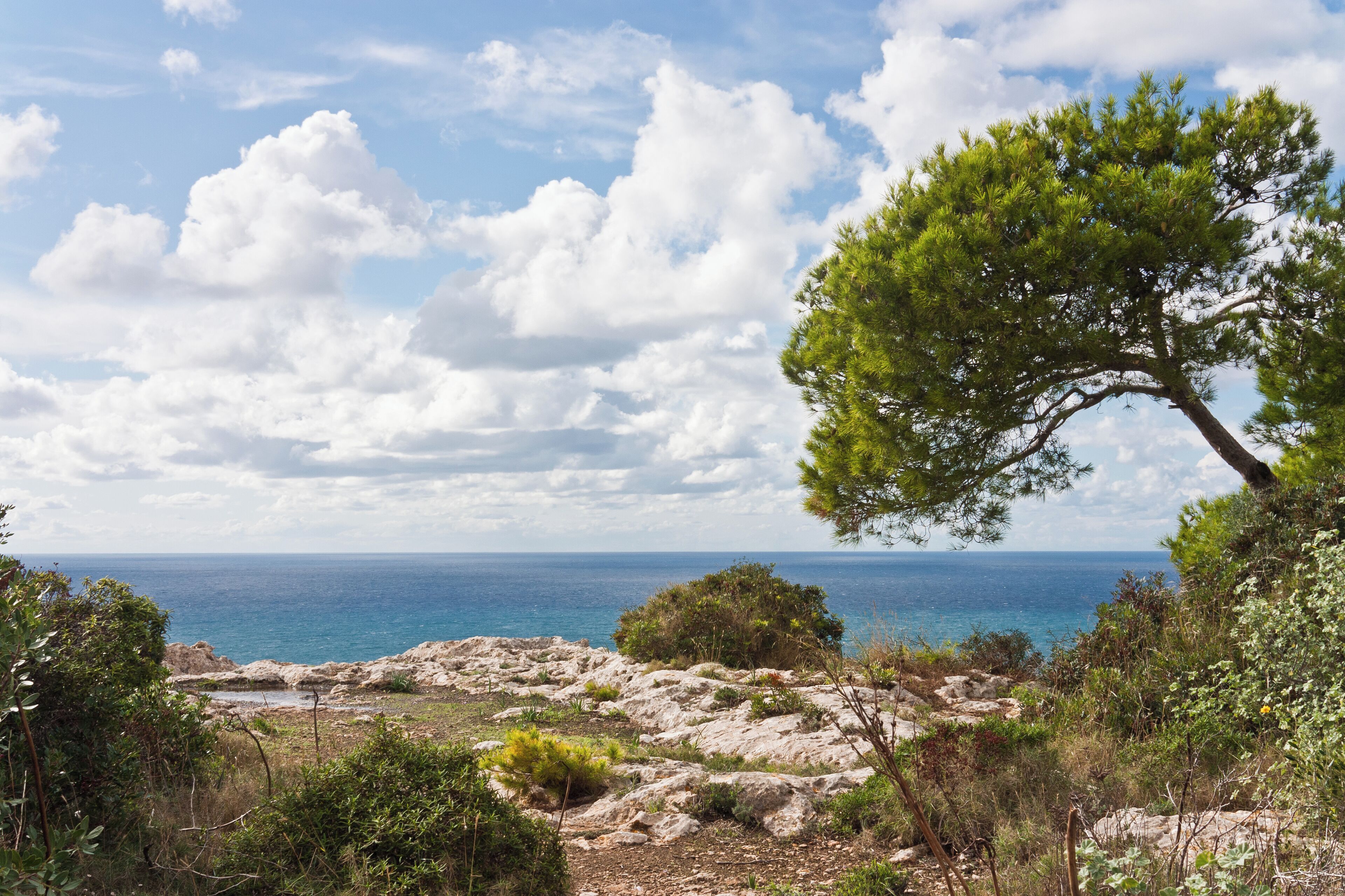 Esta iba a ser la foto del día hasta que leí los periódicos online... al final la cambié de opinión (foto del día).